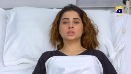 Guddu - Episode 29 - 15th Sep 2022